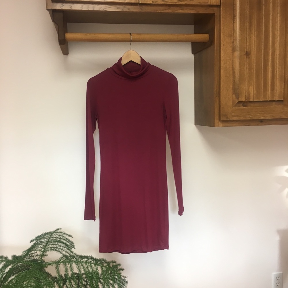 Raspberry Talula (Aritzia) ribbed turtleneck dress